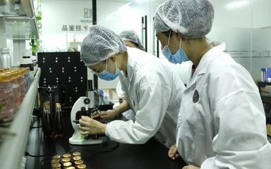 品鑒即食燕窩oem貼牌工廠:代加工初心可“品鑒”!