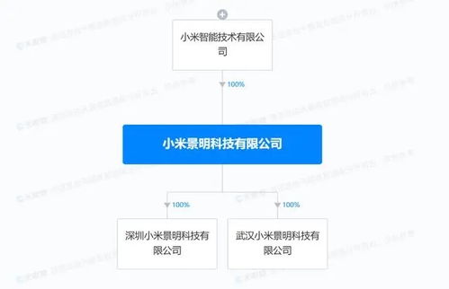 小米在武漢深圳成立景明科技公司,含汽車銷售服務(wù)